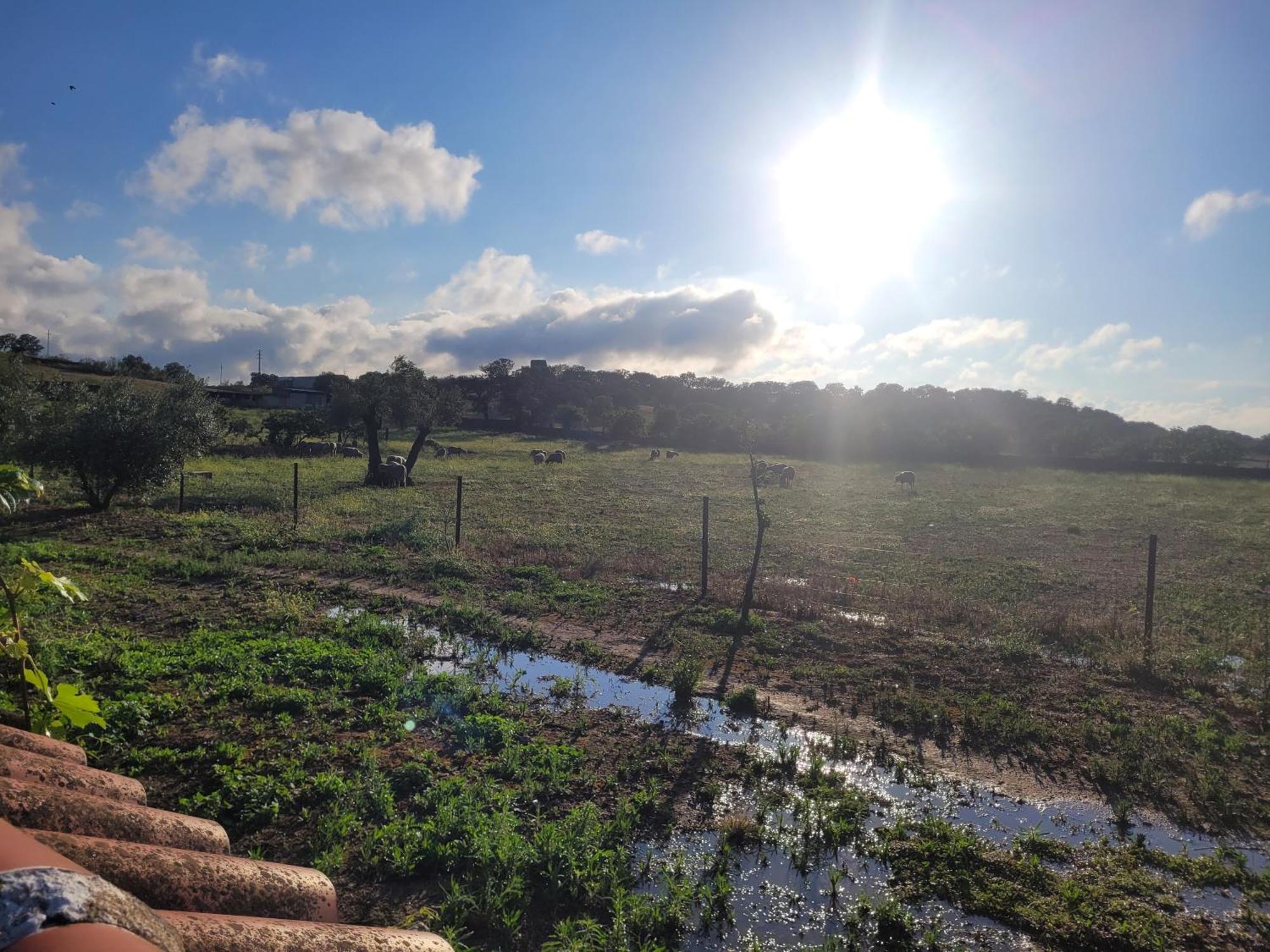 Vila Complejo Rural El Soldado Villanueva del Duque Exteriér fotografie