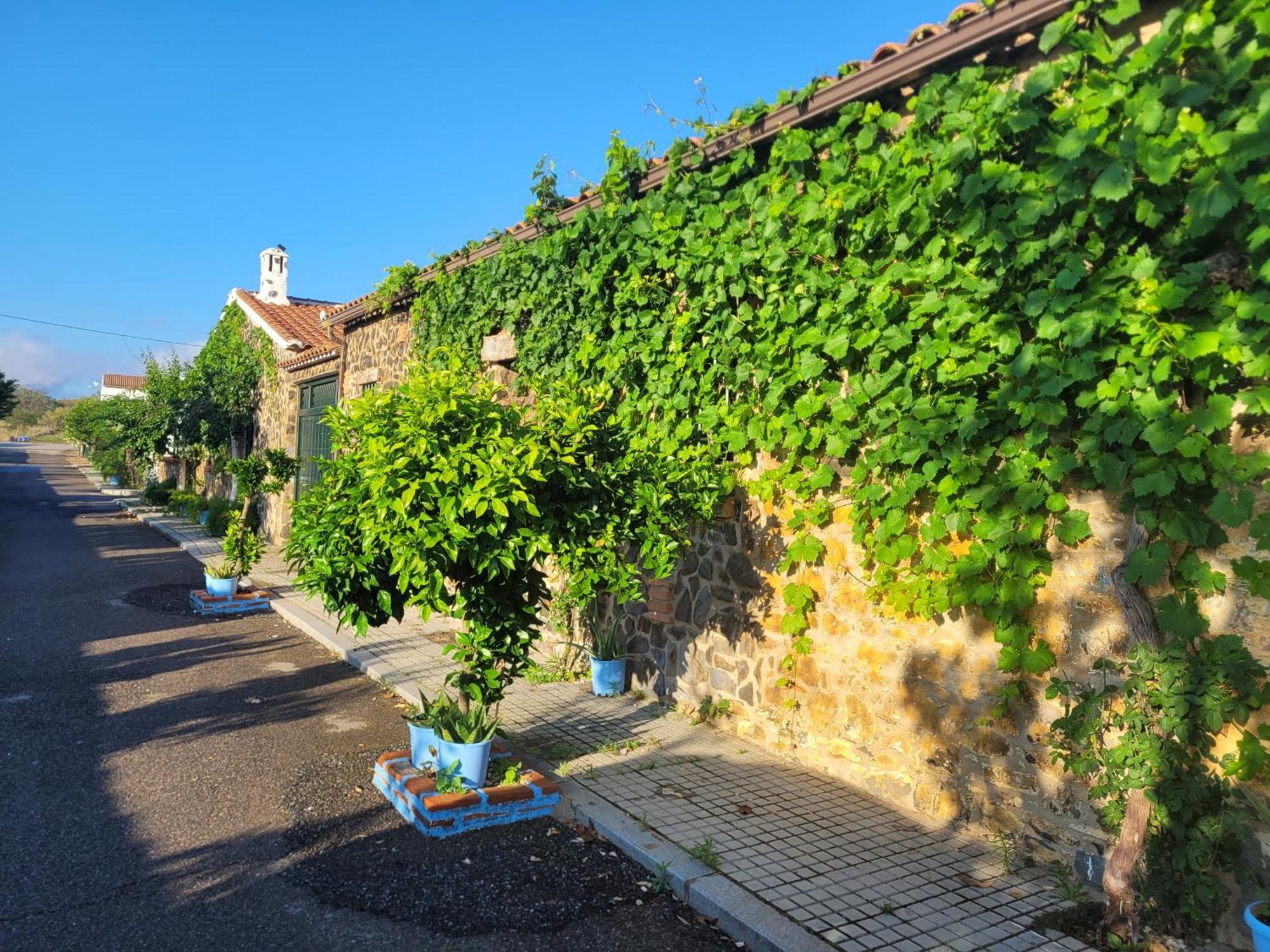 Vila Complejo Rural El Soldado Villanueva del Duque Exteriér fotografie